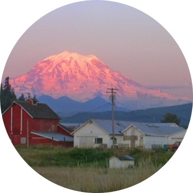 Sunset casting colors onto Mt Rainier with rural farm in foreground